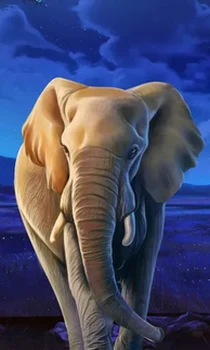 African Elephant